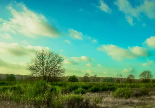 16_Heide-Winter-by-Ulrich-Huber-Fotografie