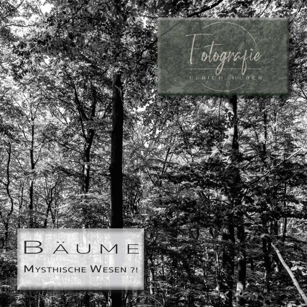 Baeume-Booklet-by-Ulrich-Huber-Fotografie