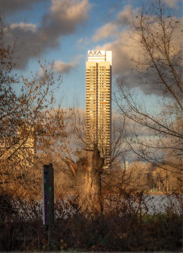 Sunset Living in Cologne